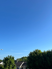 RAW Partnership Banner